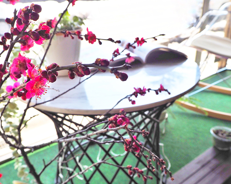 店内ギャラリー